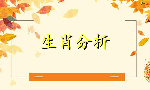 龙和什么生肖相冲相克相刑