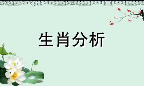 十二生肖男的理想生肖女是什么