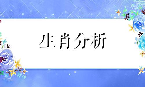 熬夜不睡觉的人叫什么 经常熬夜不睡觉会造成什么伤害