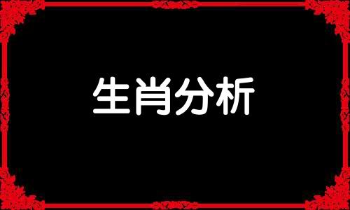 这三大生肖做事从来都很干脆的动物