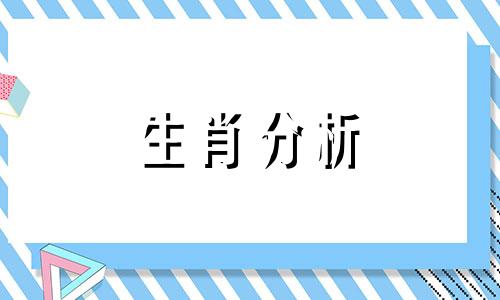 十二生肖觉得最没用的东西是哪些呢