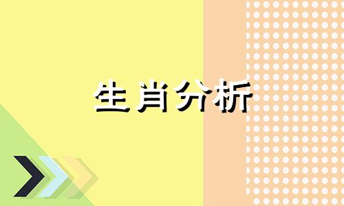 十二生肖女什么情况下不再相信爱情了