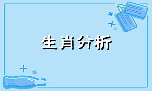 爱自黑,这几个生肖最爱自我吐槽的动物