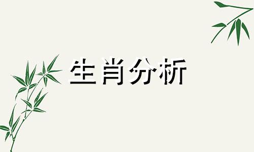 十二生肖会为爱情做出的改变有哪些