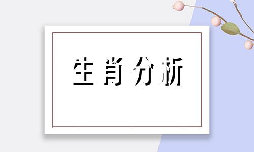 十二生肖离婚率排行榜 哪个生肖最容易离婚