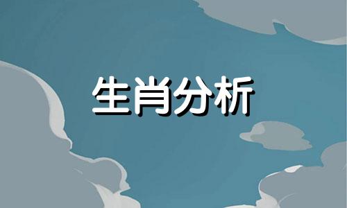 为了爱情放弃亲情的生肖是什么