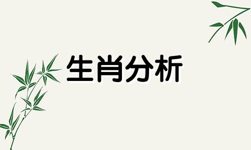 生肖鼠男对待情人的态度 属鼠男对情人怎么样