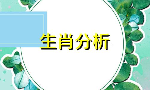 与马生肖相冲的动物,属马和谁最配对