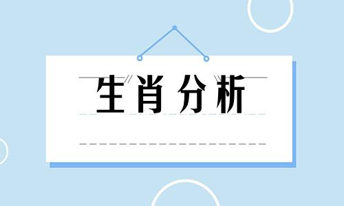 生肖狗一生的财运运势 2021生肖狗的财运怎么样