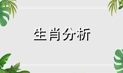 十二生肖最心仪的礼品榜单是什么