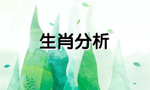 生肖虎男生用什么方式来爱你呢