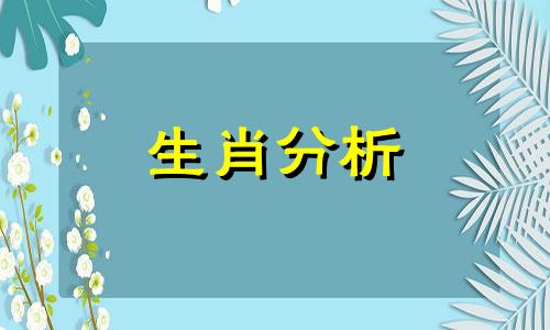 车水马龙是什么生肖?求答案