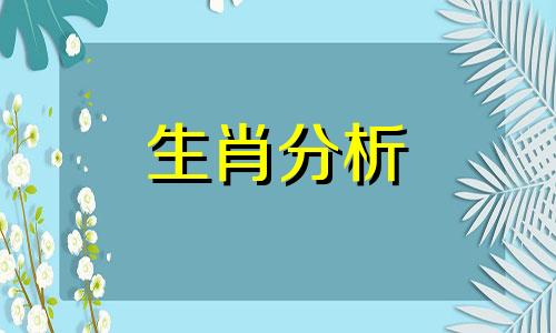 属兔的男生该怎样经营爱情呢