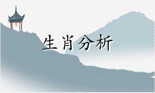 四大生肖桃花恋爱观是什么