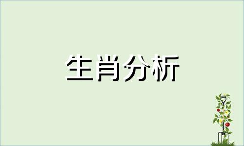 三思而行打一生肖是什么 三思而行打一数字