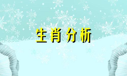 九九归一打一生肖是什么动物