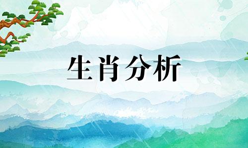 兔年后面是什么年,兔后面是什么生肖呢