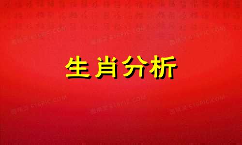 懂得过日子的生肖男生 懂得过日子的男人