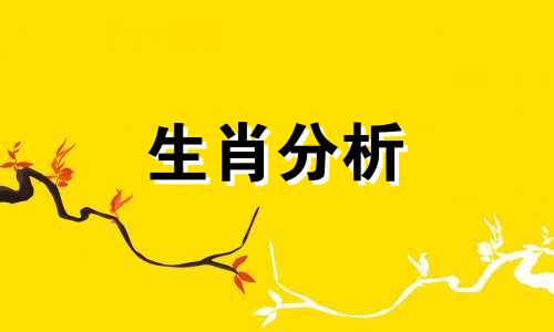 生肖是按农历还是阳历算 人的生肖是按农历还是阳历