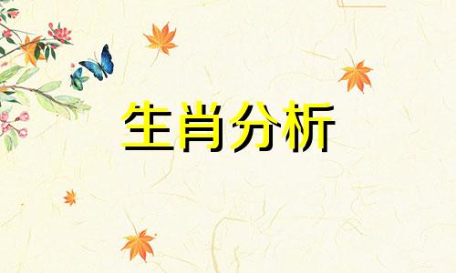 属狗的人怎么样改变命运 属狗人怎么改变10大缺点