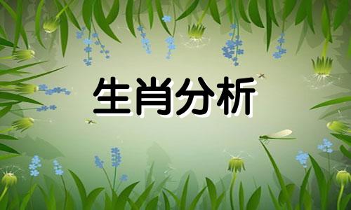 2013年5月份最没头脑的生肖是什么