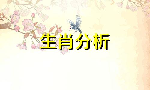 本命年男士礼物兔年能送吗