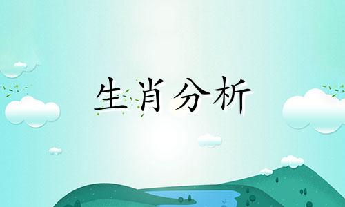 2023黑兔年本命年运势如何