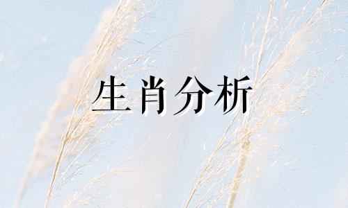 兔年送给本命年男士的礼物有哪些