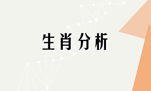 1964年属什么生肖?1964年是什么年?