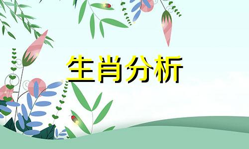 99年属兔本命年佩戴什么最好运