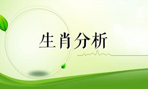 2005年属什么生肖?2005年是什么年?