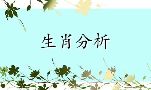 2010年属什么生肖?2010年是什么年?