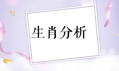 2019猪本命年佩戴什么饰品