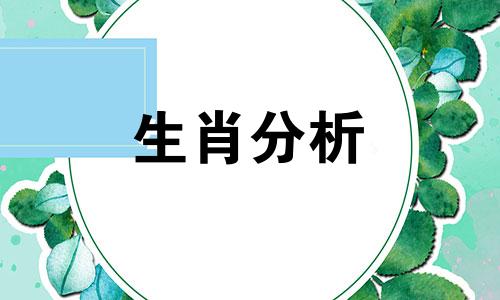 97年属牛的本命年可以领证吗