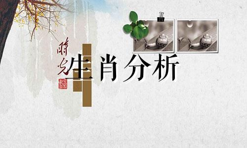 属鼠2020年本命年忌讳属相是什么