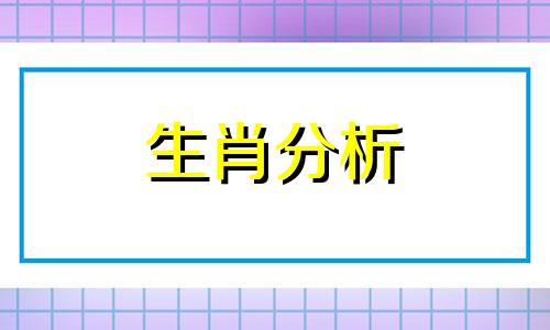 1995年出生的猪本命年运势特点