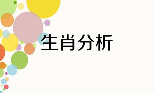 属狗本命年带什么招财最好