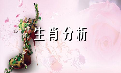 龙年女宝宝取名字大全 龙年女孩名