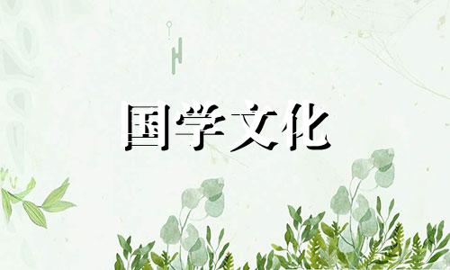 元宵节祝福语8个字以上怎么写