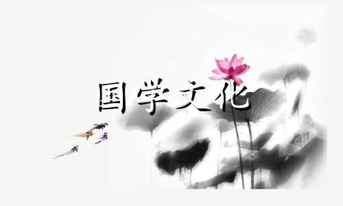 元宵节的花灯都有哪些 元宵节的花灯有哪几种作用