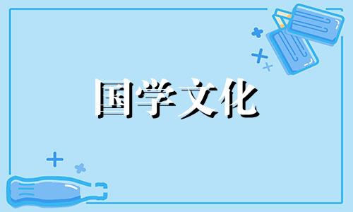 回族饮食文化特点介绍作文