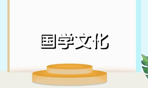 关于傣族泼水节的作文600字