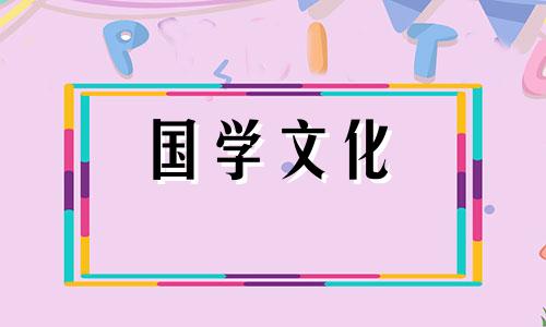 年夜饭作文800字优秀小学