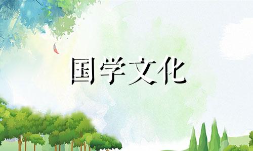 元宵节的传说50字精选作文