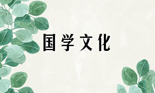 结婚纪念日送老婆什么鲜花