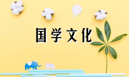 结婚证上的花是什么花? 结婚证上的花是什么花图片