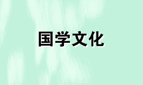 11朵粉色康乃馨花语是什么意思