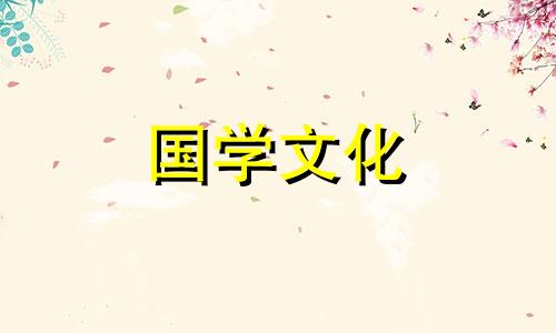 紫百合花语是什么意思 紫百合花语是什么