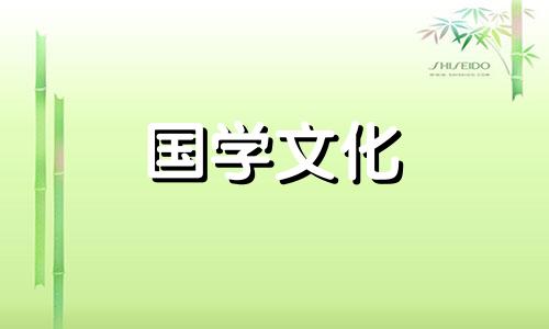 19朵玫瑰花语颜色代表什么