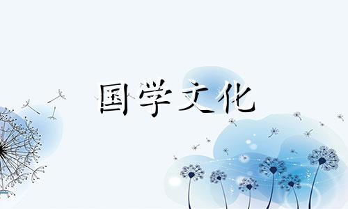 12朵向日葵花语是什么意思